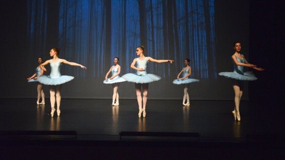 Kunstacademie: lessen klassieke dans