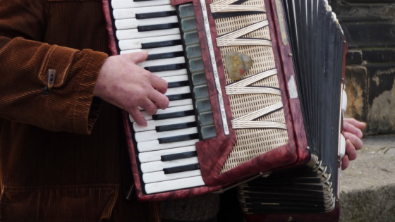 Kunstacademie: Accordeon